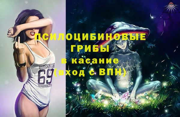 молекула духа Гусев